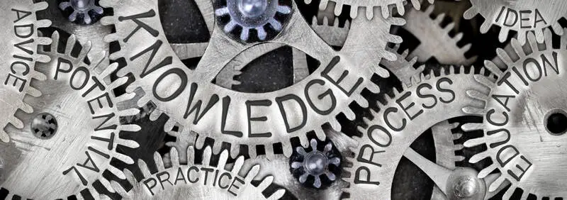 Connectivity of knowledge, process and education
